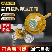 天然氣自閉閥 燃氣管道家用灶前漏氣保護器 超壓防爆安全自閉閥門