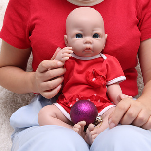 WW1527l냺 43cmȫzReborn doll