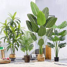 仿真綠植散尾葵高端輕奢假花樹網紅落地植物盆栽室內櫥窗裝飾擺件
