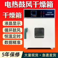 電熱恆溫鼓風干燥箱實驗室小型食品烘干箱工業高溫烘干機干燥箱