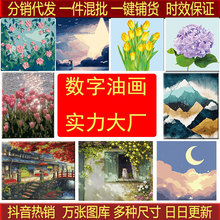 批發diy數字油畫抖音熱銷分銷代發郁金香茶屋史迪仔手繪填色畫