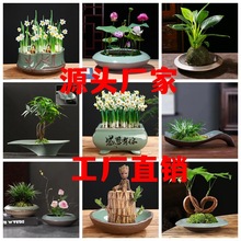 微景觀小盆栽銅錢草水培植物苔蘚球巴西木水仙花盆陶瓷無孔睡蓮盆