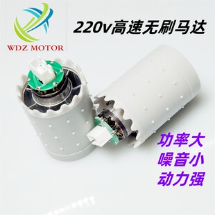 特賣220v高轉速無刷直流電機吹風機家用智能電器手持風扇馬達廠家