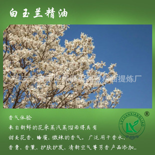 m~White Magnolia Leaf Oil ޹㯟Ħm