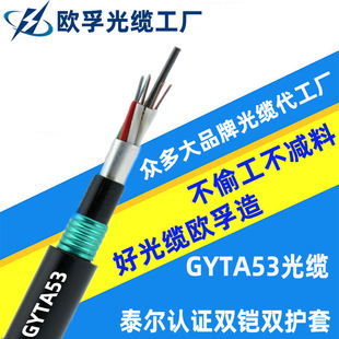 GYTA53-12B1/B1.3ӽgpzpoֱ| 16оģwz