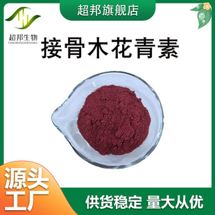 接骨木花青素25% 接骨木提取物 化妝品原料 量大從優 超邦直供