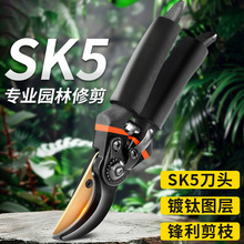 修枝剪SK5鋼專業園林果樹粗枝剪刀批發家用樹枝剪強力修枝剪刀