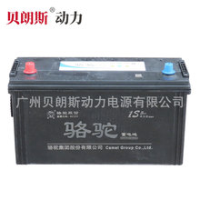 駱駝蓄電池N100 12V100Ah免維護電瓶6-QW-175min(700)