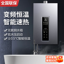 批發 零冷水燃氣熱水器家用天然氣液化氣煤氣恆溫平衡式燃氣款16L