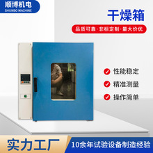 干燥箱電熱數顯試驗室恆溫鼓風干燥箱高溫烤箱實驗室消毒箱