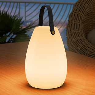 LEDyʽ͹¶IҴ^b̨Portable lamps