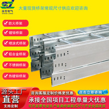鋁合金 熱鍍鋅梯式橋架 電纜T型線槽 大跨度樓梯形噴塗耐腐蝕線槽