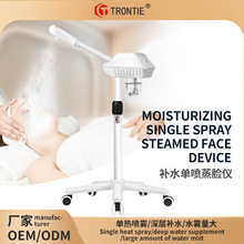 蒸臉器臉部噴霧器美容院新款補水儀美容儀噴霧機熱噴跨境批發