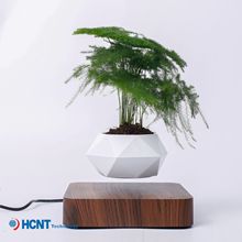 客廳家居擺件網紅創意工藝品植物盆景批發磁懸浮盆栽花盆綠植