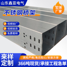 不銹鋼電纜橋架線槽現貨大跨距橋架槽式梯式 噴塑防火不銹鋼橋架
