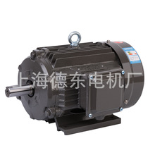 上海德東 YE2 YE3 132S-4 5.5KW 三相異步電動機 馬達
