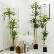 Atificial plants北歐假巴西鐵馬尾鐵仿真植物客廳落地龍血樹綠植