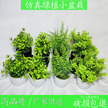 花盆景小盆栽綠植客廳辦公室玄關酒櫃裝飾小擺件室內
