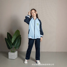 中小學秋裝運動套裝小學初中高中生學院風園服班服春秋校服