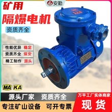礦用隔爆電動機 供應YBX3隔爆型三相異步電機 YBX4礦用防爆電機