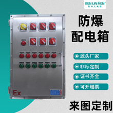 森林人電氣非標不銹鋼防爆配電箱304材質配電櫃控制箱接線箱