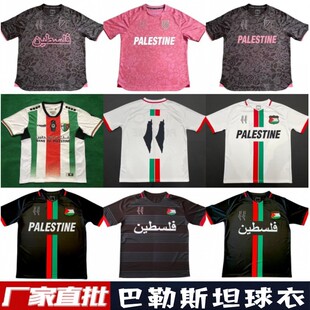 ˹̹԰꠷˹̹Palestino