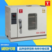 泰斯特直營 電熱恆溫干燥箱實驗室烘箱工業烤箱小型高溫202-0AB