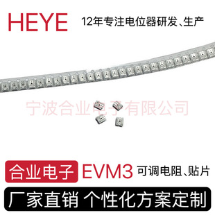 EVM3NƬ{辫΢{λ5K10K20K100K500K1M