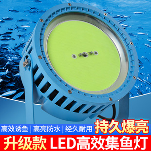 LED߹ЧLED~800W~T~800W~800W