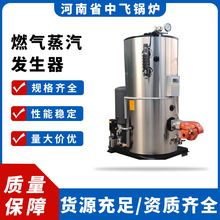 節能環保燃氣燃油蒸汽發生器 5分鍾產汽 水容量低於30L電加熱