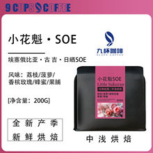 埃塞古吉罕貝拉小花魁SOE咖啡豆 日曬手沖香醇精品新鮮烘焙黑咖啡