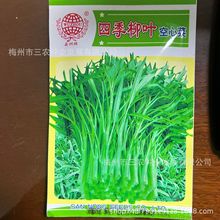 五洲牌四季柳葉空心菜種子陽台菜地家庭種植四季蔬菜種籽廠家批發