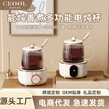 養生壺迷你電燉杯多功能養生杯辦公室燒水杯加熱恆溫便攜式電熱杯