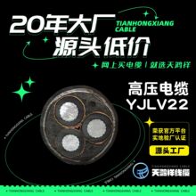 可供應動力鋁芯電纜 電力工程式款高壓電線YJLV22 3*185質量型線