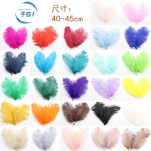 廠家定制鴕鳥毛40-45cm彩色鴕鳥羽毛婚慶裝飾舞台服裝表演羽毛