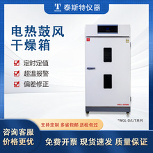 鼓風干燥箱定制OEM泰斯特直營WGL實驗室工業烘箱恆溫箱