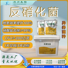 污水處理菌種反硝化細菌脫氮降總氮降硝酸鹽降COD復合微生物菌劑