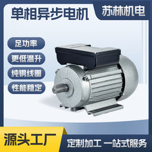 批發YL鐵殼卧式雙值電容單相電動機定做機械設備馬達電機非標定制