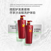 日化洗護套裝通用去屑止癢清爽控油批發代發日用洗發水沐浴露護發