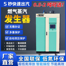 燃氣蒸汽鍋爐大型工業食品廠化工0.5-2噸暖特加超低氮蒸汽發生器