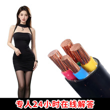 廠家國標WDZA-YJY低煙無鹵電纜阻燃家裝工程家裝戶外用電線電纜