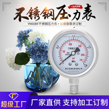 YN60BF 充硅油耐腐蝕耐高溫耐低溫 英制螺紋2分不銹鋼耐震壓力表