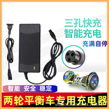 兩輪電動平衡車36V鋰電池42v1A2A3A阿爾郎龍吟三孔插頭通用充電器