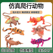 跨境兒童玩具仿真動物模型泡水膨脹變大蜥蜴棘益智四腳蛇整蠱昆蟲