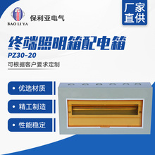 明裝回路箱PZ30-20# 終端照明箱配電箱帶透明蓋