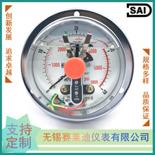 無錫賽萊迪軸向帶邊24V耐震電接點壓力表YNXC-100ZT/M