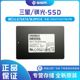 mPM893̑BӲP1920GB MZ7L31T9HBLT-00B7CļSATA