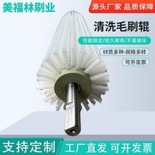 玻璃清洗機毛刷輥機械清掃除塵毛刷輪拋光水果清洗毛刷輥廠家帶軸