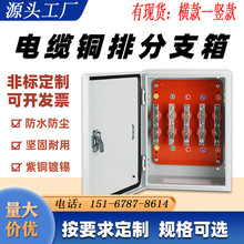 電纜分支箱T接銅排箱配電箱工地分接箱低壓礦物BTTZ絕緣分線箱