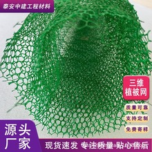 邊坡綠化防護三維植被網EM2EM3 PP材質加筋河道固土三維網